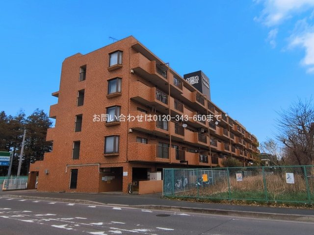 ライオンズマンション中央林間第6 305