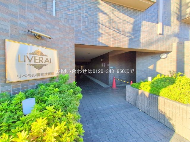 撮影日(2025-12-04 00:00:00)