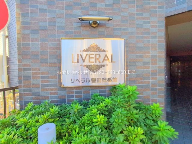 撮影日(2025-12-04 00:00:00)