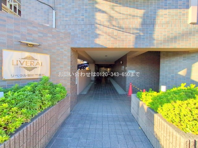 撮影日(2025-12-04)