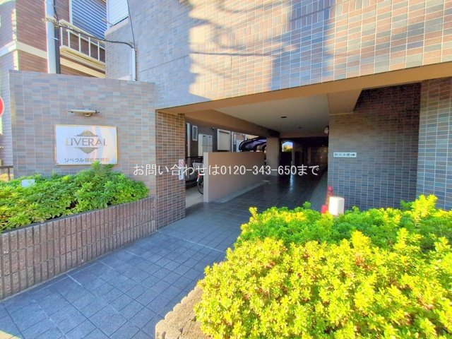 撮影日(2025-12-04 00:00:00)