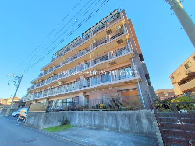 撮影日(2025-12-04 00:00:00)