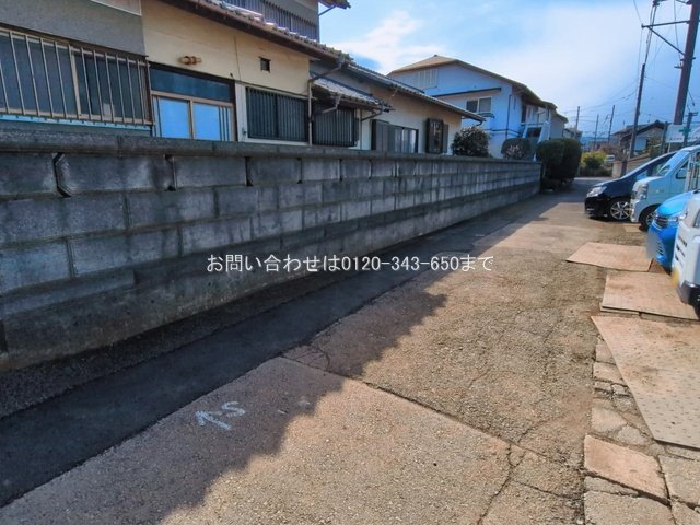 撮影日(2026-03-12 00:00:00)