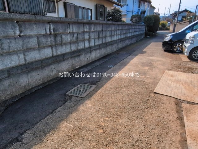 撮影日(2026-03-12 00:00:00)