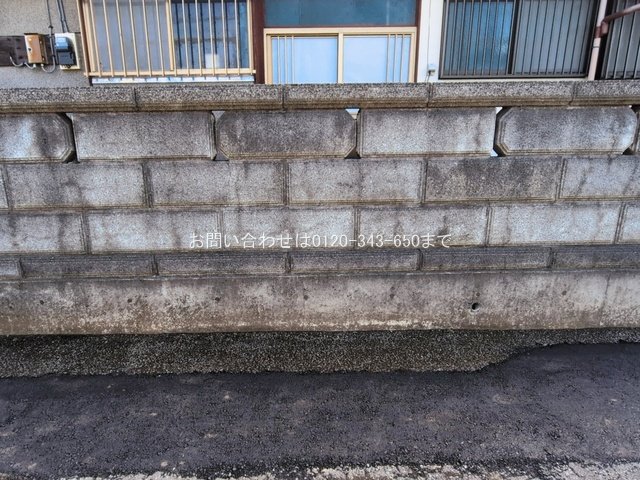 撮影日(2026-03-12 00:00:00)
