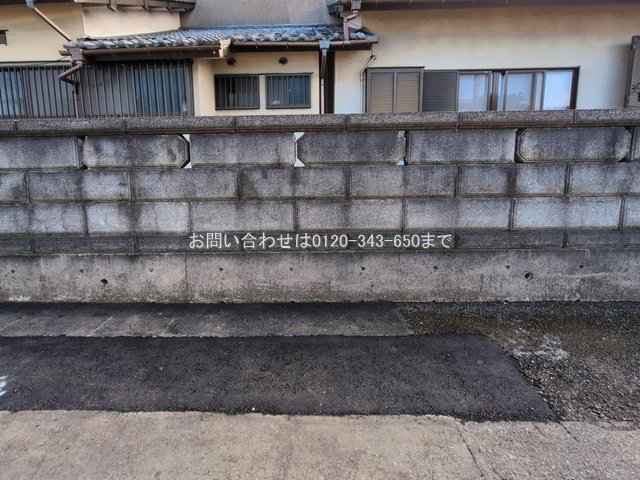 撮影日(2026-03-12 00:00:00)