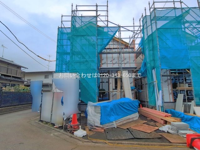 撮影日(2026-03-31 00:00:00)