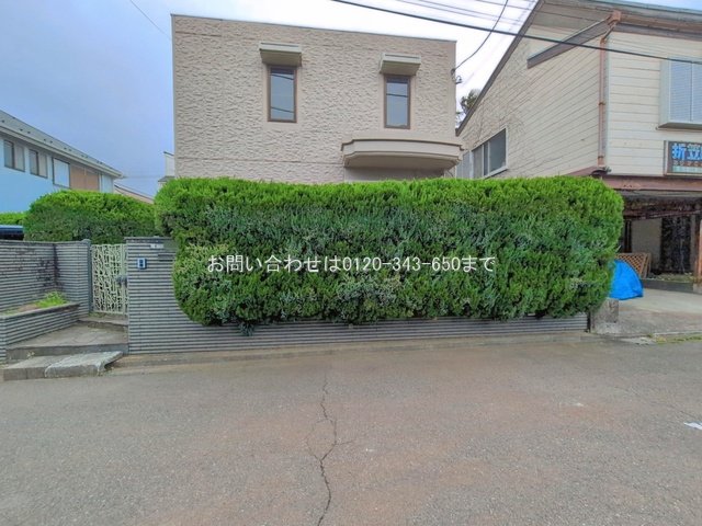 撮影日(2026-03-31 00:00:00)