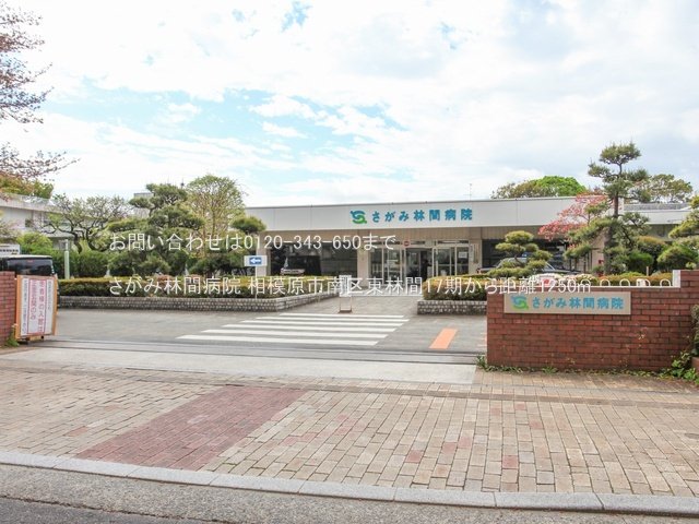 さがみ林間病院 撮影日(2024-04-17) 1250m