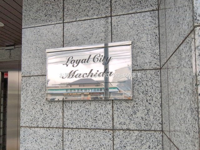 撮影日(2026-04-02 00:00:00)