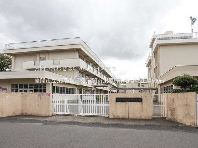 座間市立東原小学校 撮影日(2024-08-29) 560m