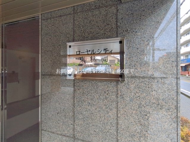 撮影日(2026-03-31 00:00:00)