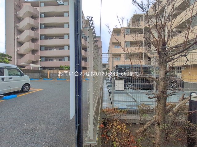 撮影日(2026-03-31 00:00:00)