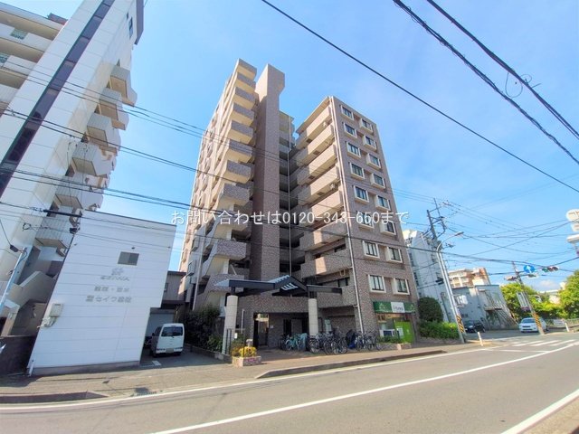 撮影日(2025-08-18)