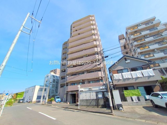 撮影日(2025-08-18 00:00:00)