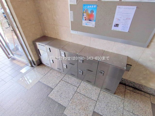 撮影日(2025-08-18 00:00:00)