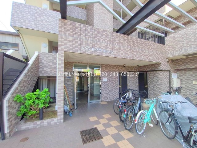 撮影日(2025-08-18 00:00:00)