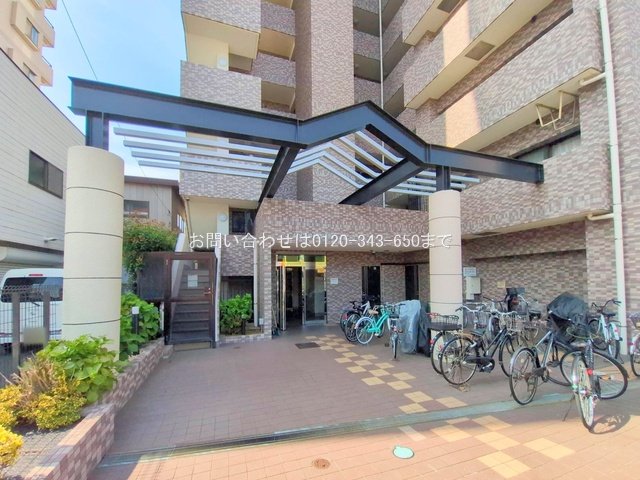 撮影日(2025-08-18)