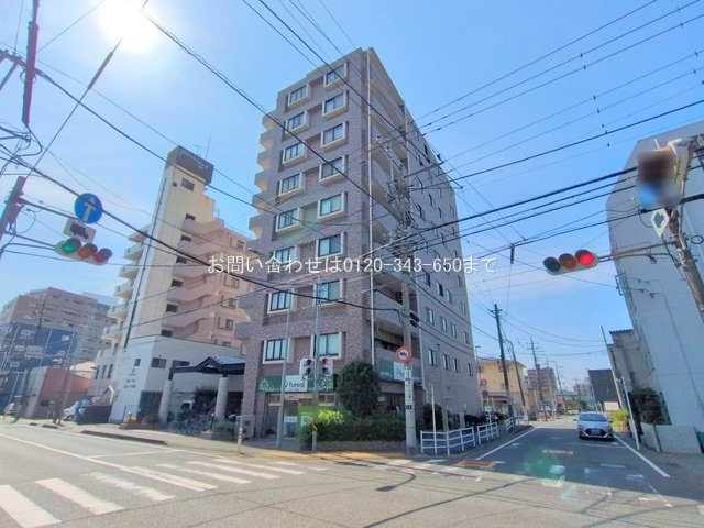 撮影日(2025-08-18 00:00:00)