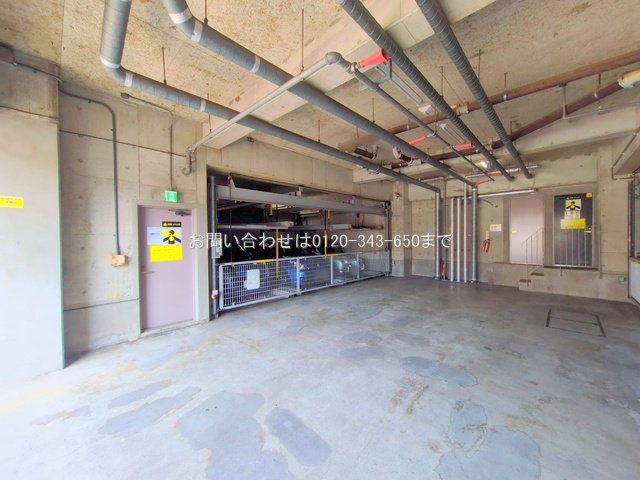 撮影日(2025-08-18 00:00:00)