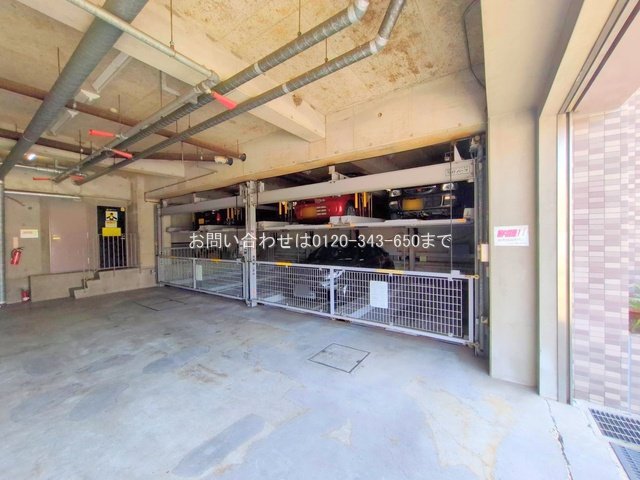 撮影日(2025-08-18 00:00:00)