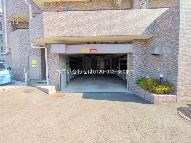 撮影日(2025-08-18 00:00:00)