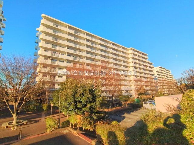 撮影日(2025-02-10)