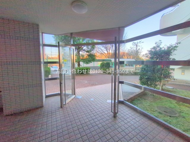 撮影日(2025-02-10 00:00:00)