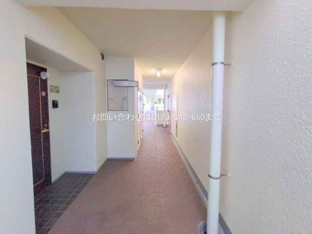 撮影日(2025-02-10 00:00:00)