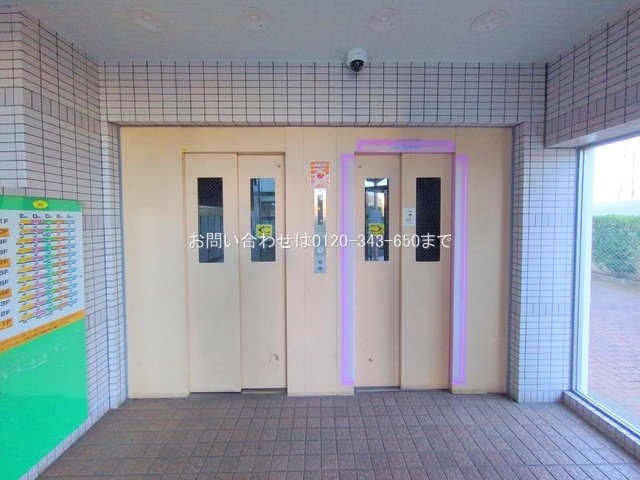 撮影日(2025-02-10 00:00:00)