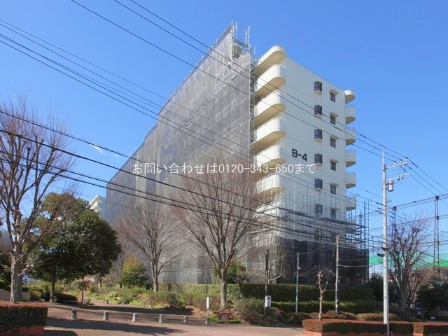 撮影日(2024-02-27 00:00:00)