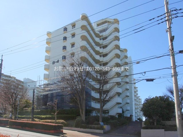 撮影日(2024-02-27 00:00:00)