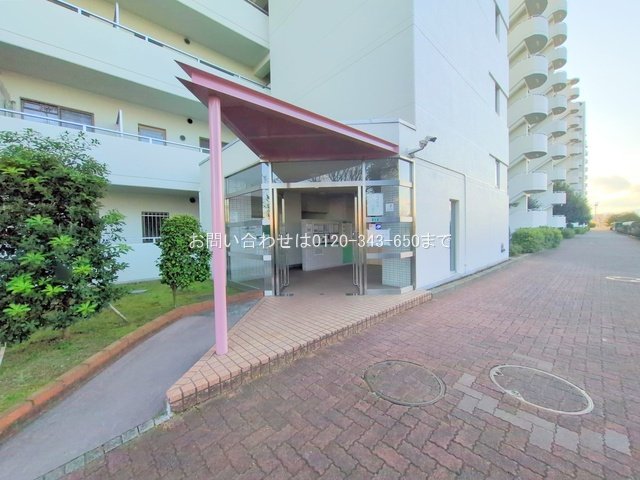 撮影日(2025-02-10)