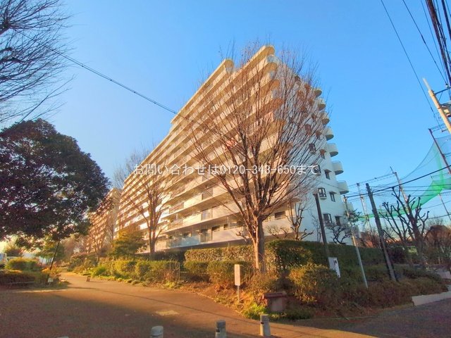 撮影日(2025-02-10 00:00:00)