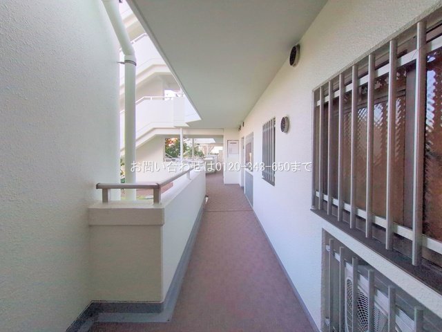 撮影日(2025-02-10 00:00:00)