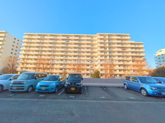 撮影日(2025-02-10 00:00:00)