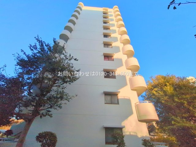 撮影日(2025-02-10 00:00:00)