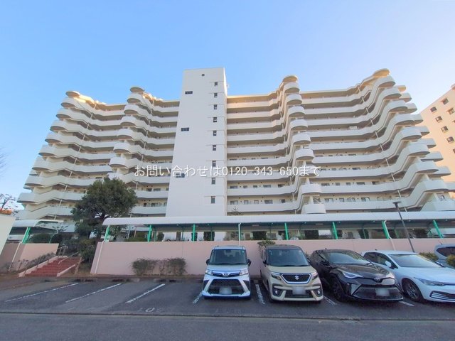 撮影日(2025-02-10 00:00:00)