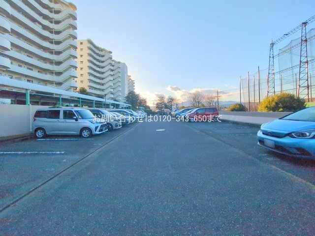 撮影日(2025-02-10 00:00:00)