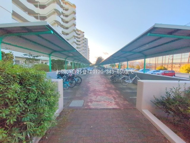 撮影日(2025-02-10 00:00:00)