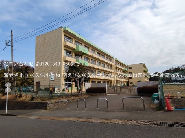 海老名市立杉久保小学校 撮影日(2025-03-14) 290m
