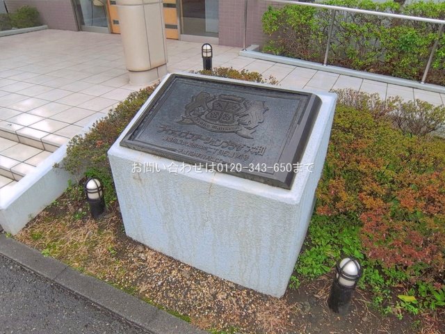 撮影日(2026-04-01 00:00:00)