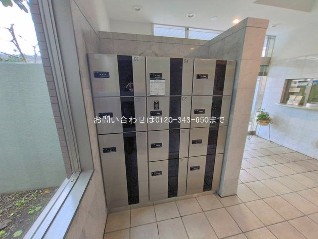 撮影日(2026-04-01 00:00:00)