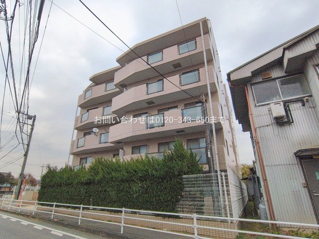 撮影日(2026-02-16 00:00:00)