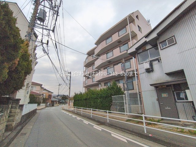 撮影日(2026-02-16 00:00:00)