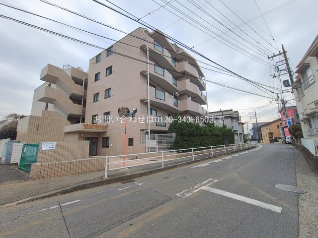 撮影日(2026-02-16 00:00:00)