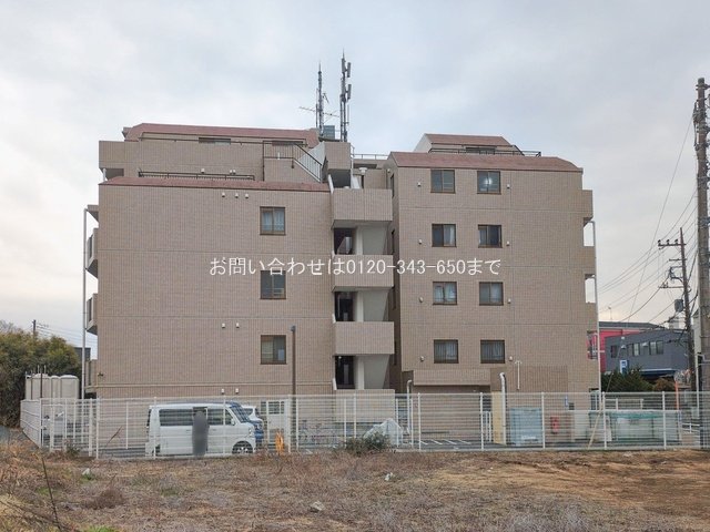 撮影日(2026-02-16 00:00:00)