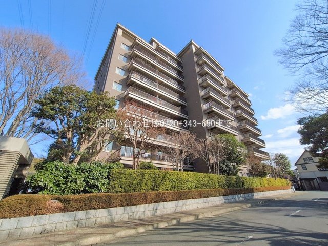 撮影日(2026-01-19)