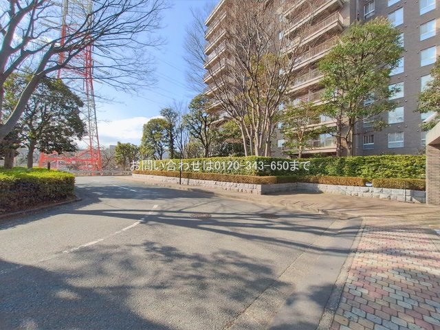 撮影日(2026-01-19 00:00:00)