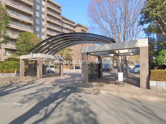 撮影日(2026-01-19 00:00:00)